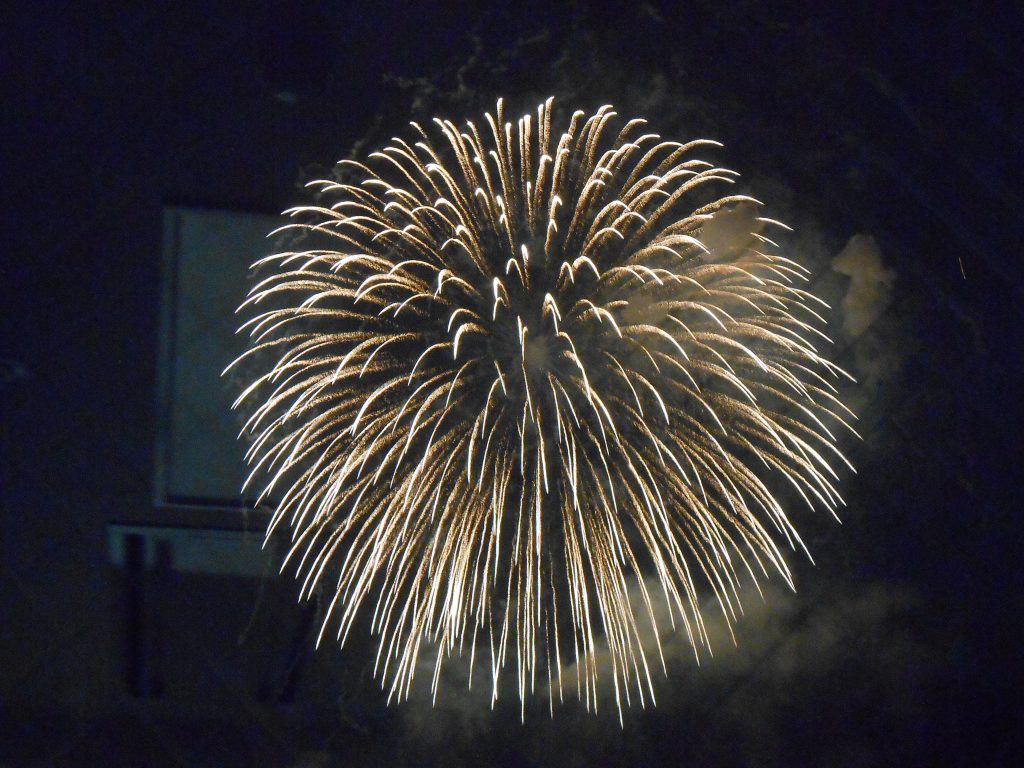 夏の夜空に花火の大輪