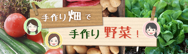 春に向けて行動開始