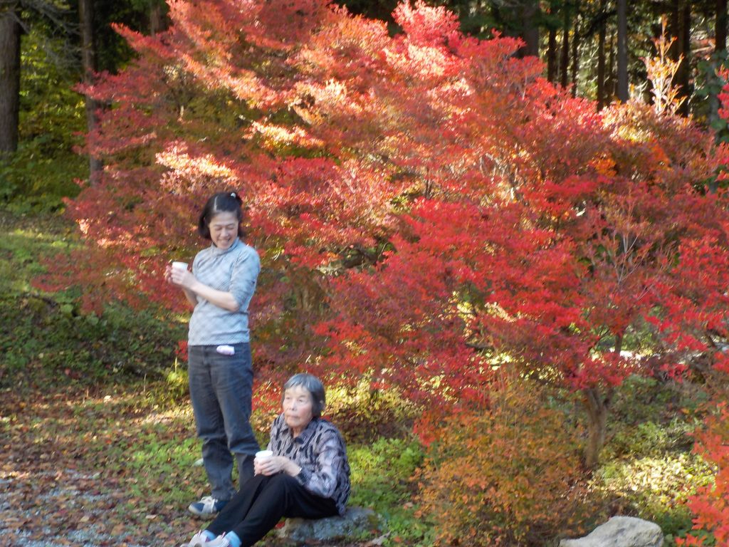 紅葉狩りとかっぱ寿司に行きました