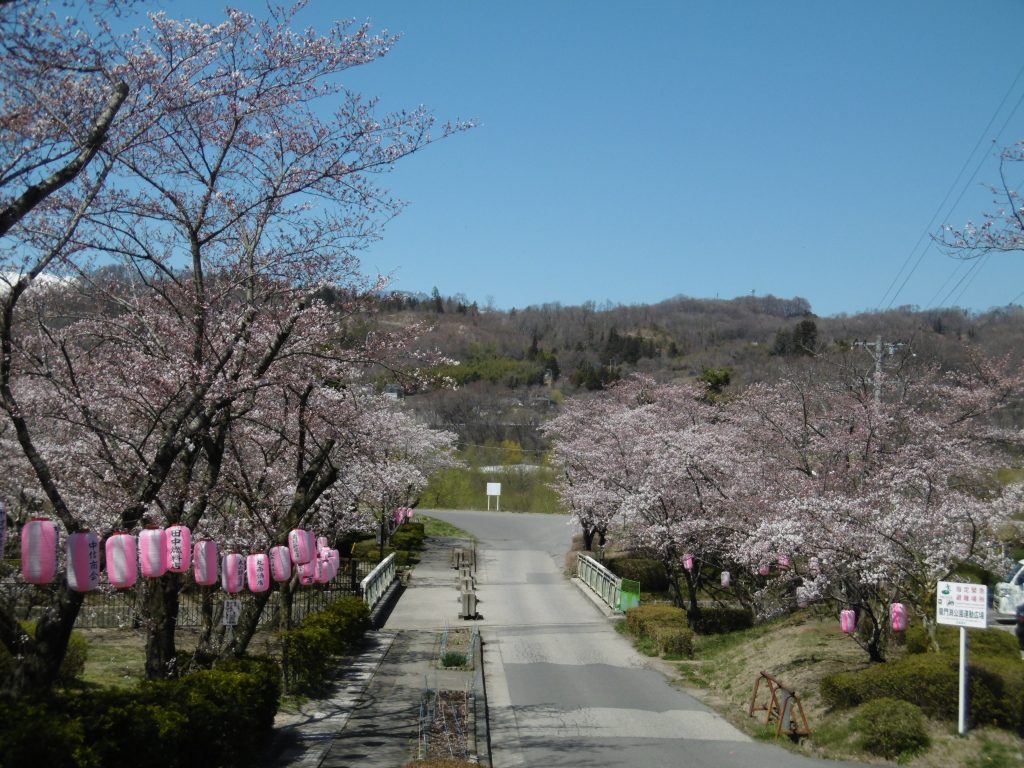 お花見をしました!